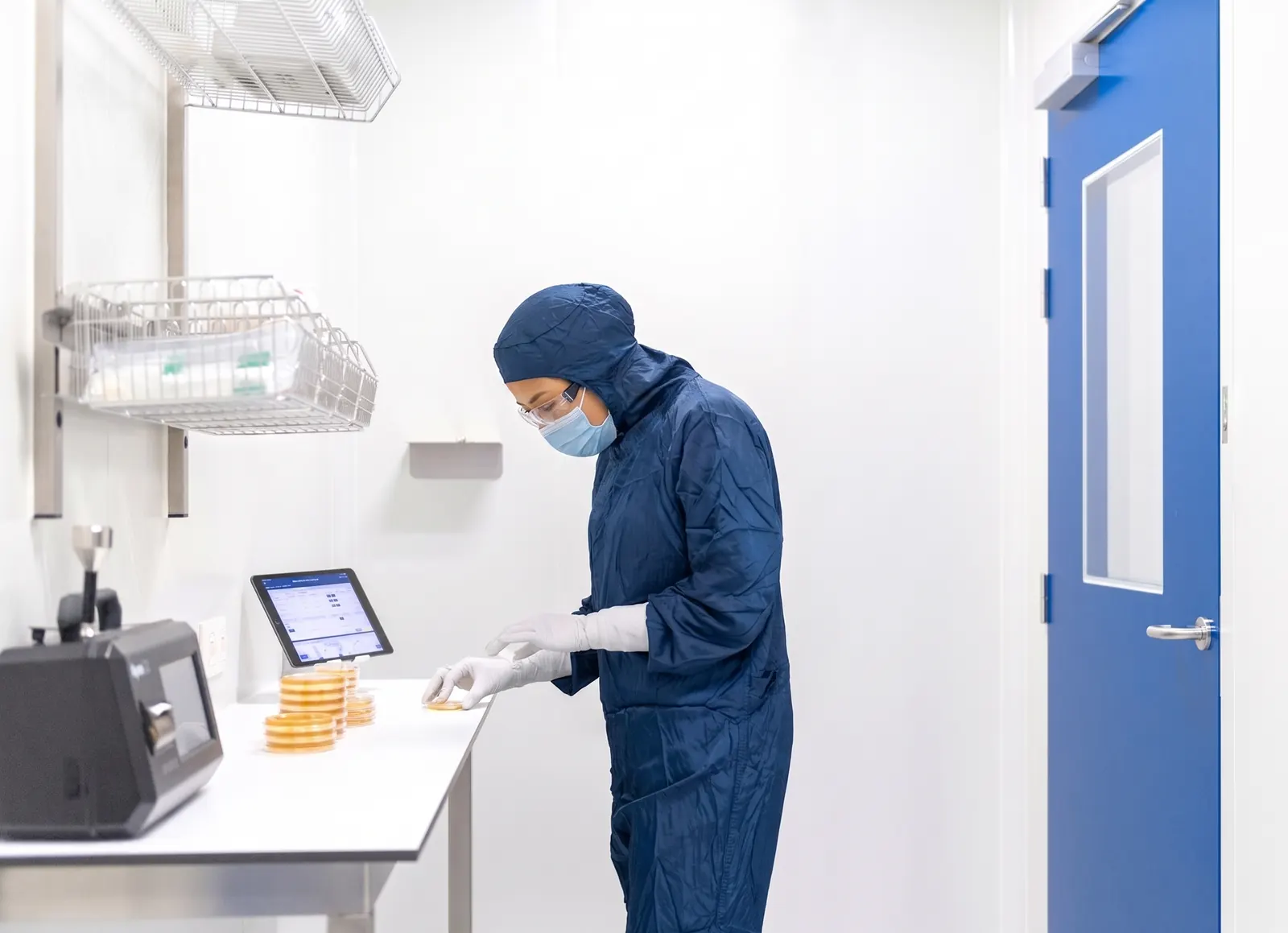 Cleanroom operator examining microbial culture plates